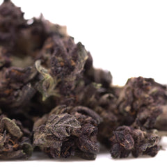 Purple Queen THCa Hemp Flower Greenhouse Smalls Wholesale