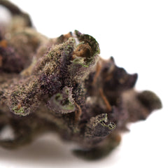 Purple Queen THCa Hemp Flower Greenhouse Smalls