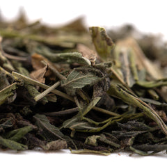 Purple Wedding Greenhouse THCa Trim Wholesale