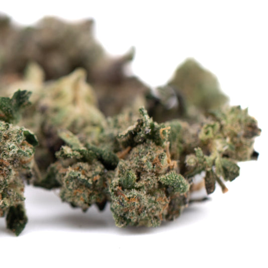 Purple Wedding Cake Indoor Flower Smalls - Plants