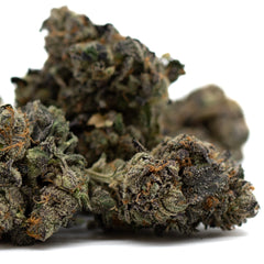 Purple Wedding Cake Indoor THCa Flower - Plants