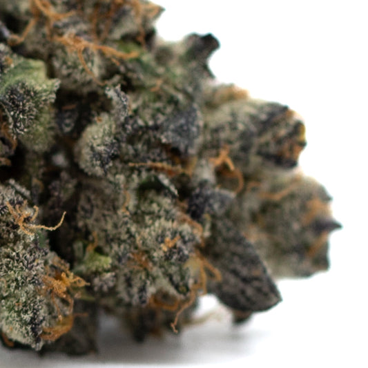 Purple Wedding Cake Indoor THCa Flower - Plants