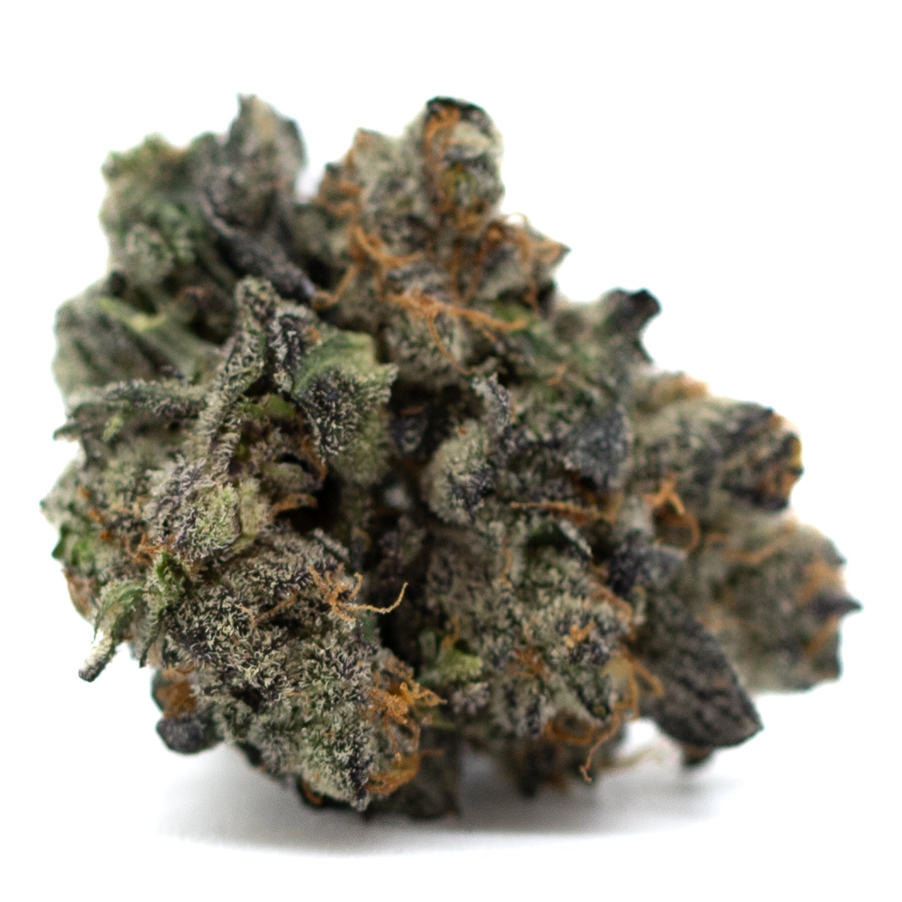 Purple Wedding Cake Indoor THCa Flower - Plants