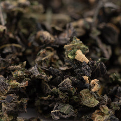 Purple Wedding Cake Indoor Trim Wholesale 1LB - 1 LB - Plants