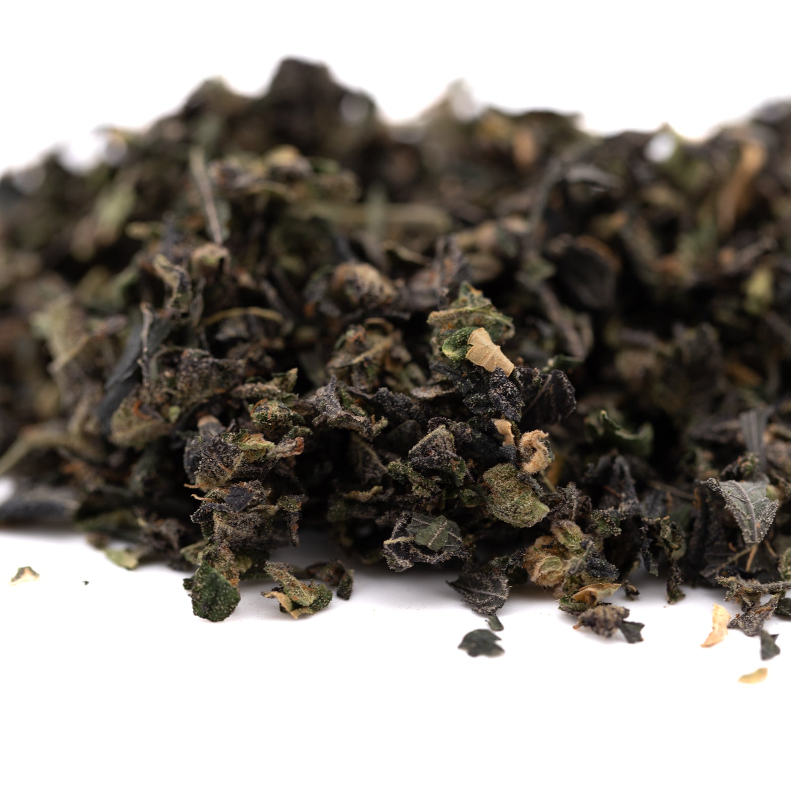 Purple Wedding Cake Indoor Trim Wholesale 1LB - 1 LB - Plants
