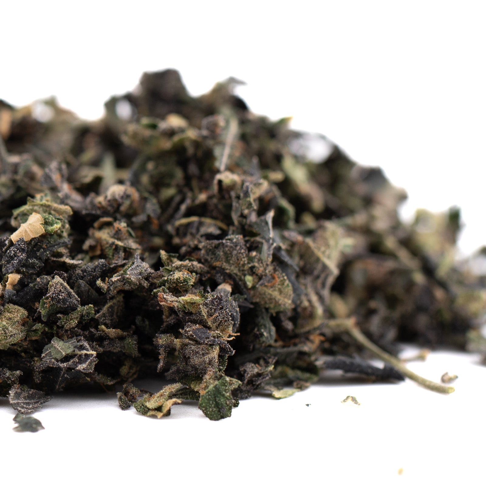 Purple Wedding Cake Indoor Trim Wholesale 1LB - 1 LB - Plants