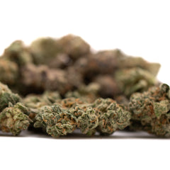 Purple Wedding Indoor THCa Flower Smalls - Plants