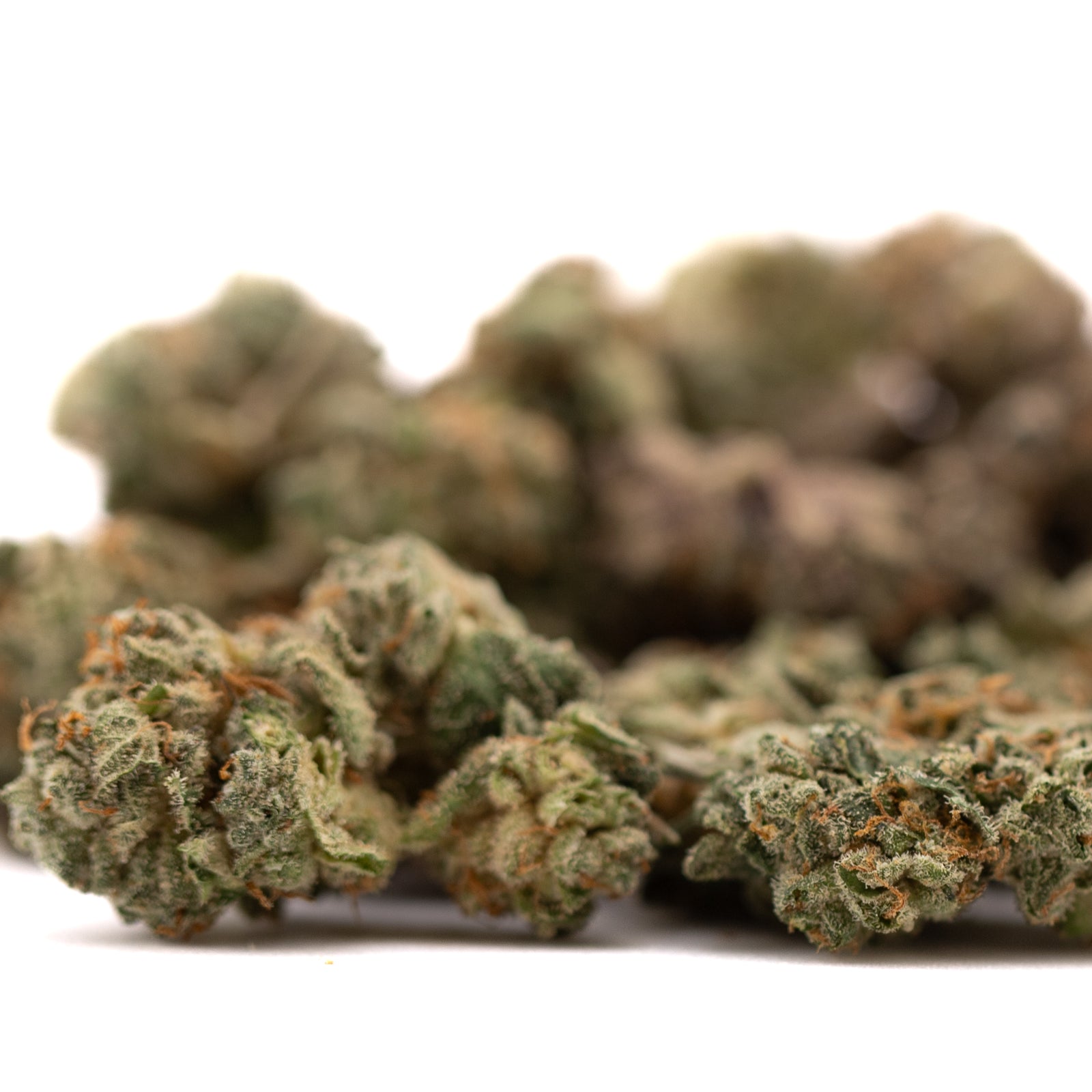 Purple Wedding Indoor THCa Flower Smalls - Plants