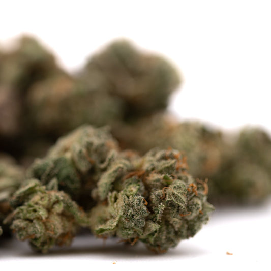 Purple Wedding Indoor THCa Flower Smalls - Plants