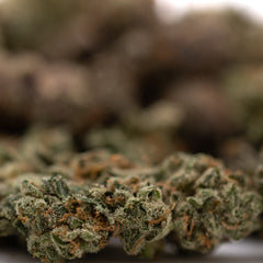Purple Wedding Indoor THCa Flower Smalls - Plants
