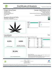 Raspberry Runtz #2 Indoor THCa Flower Wholesale - Plants