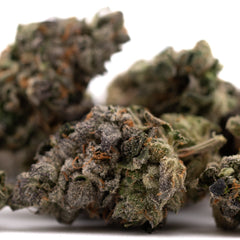 Rose Gold Runtz Indoor THCa Flower - Plants
