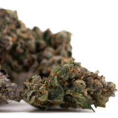 Rose Gold Runtz Indoor THCa Flower - Plants