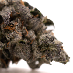 Rose Gold Runtz Indoor THCa Flower - Plants