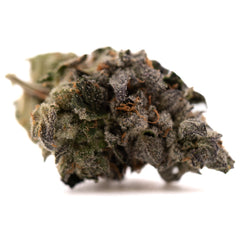 Rose Gold Runtz Indoor THCa Flower - Plants