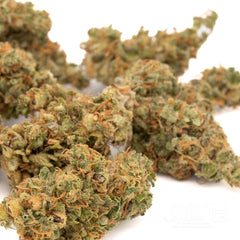 Rose Gold Runtz Indoor THCa Flower Wholesale