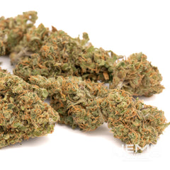 Rose Gold Runtz Indoor THCa Flower Wholesale