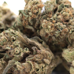 Royal Highness THCa Flower Full-Term