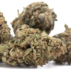 Royal Highness THCa Flower Full-Term