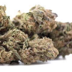 Royal Highness THCa Flower Full-Term