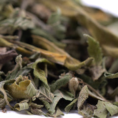 Rozay Cake Greenhouse THCa Trim Wholesale