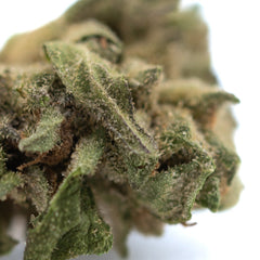 Rozay Cake THCa Hemp Flower Greenhouse Smalls