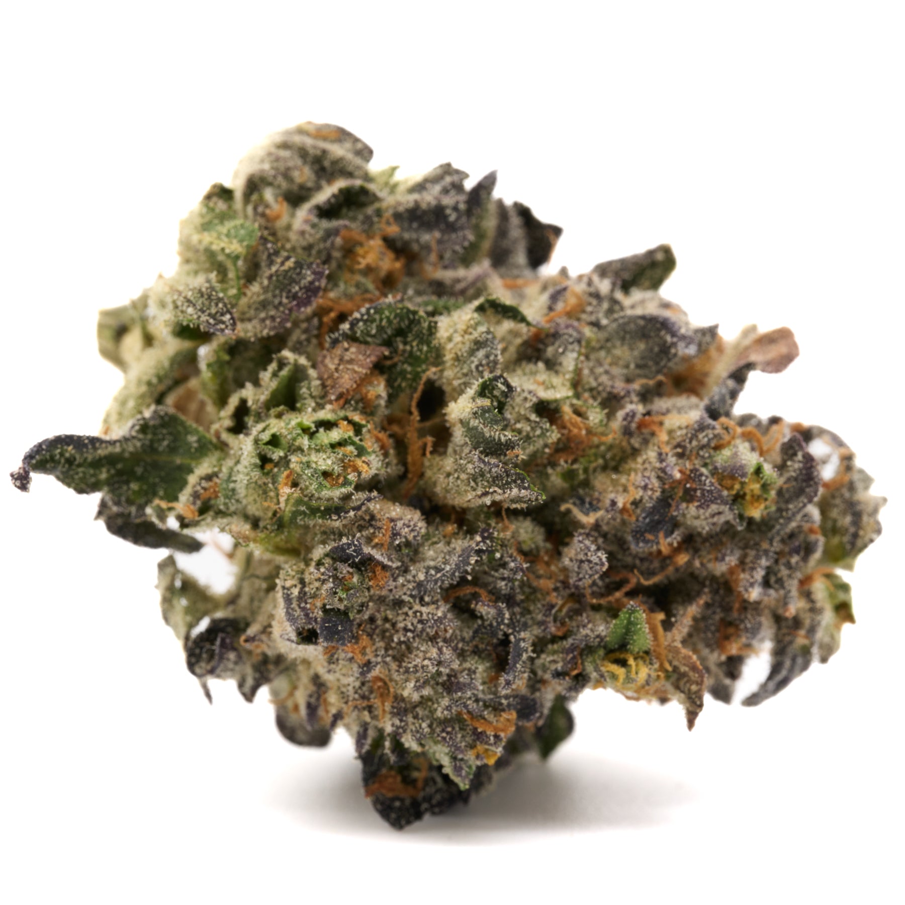 Russian Runtz Indoor THCa Flower - Plants