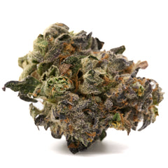 Russian Runtz Indoor THCa Flower - Plants