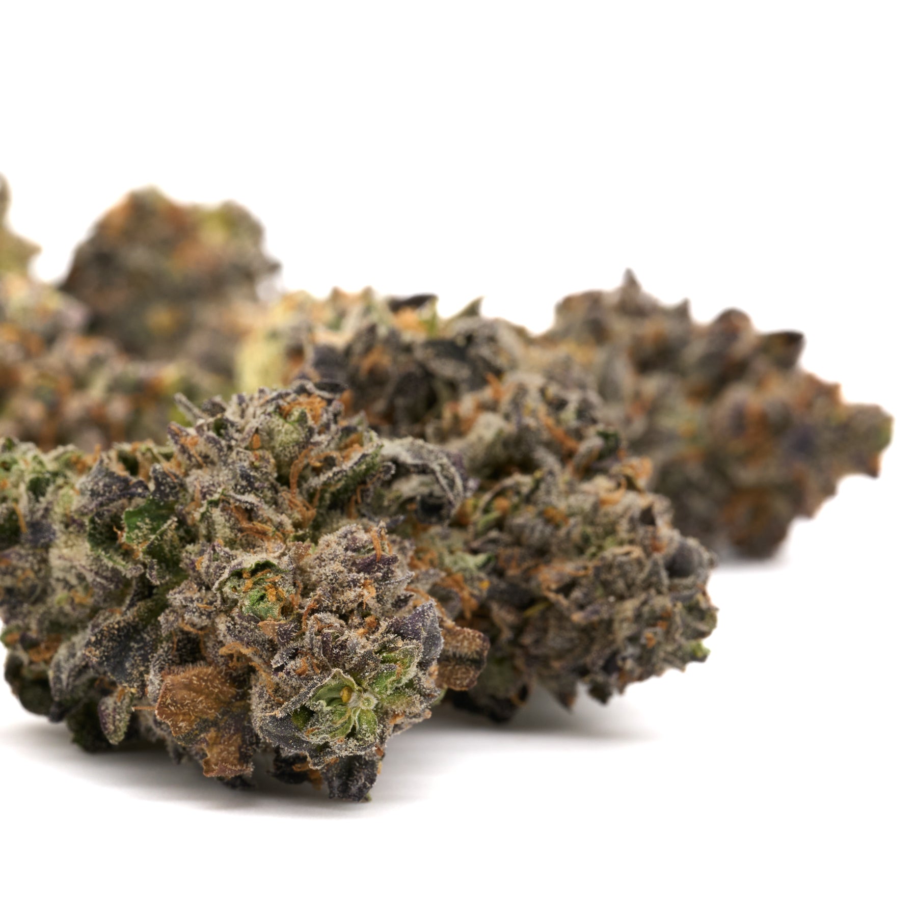 Russian Runtz Indoor THCa Flower - Plants