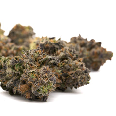 Russian Runtz Indoor THCa Flower - Plants