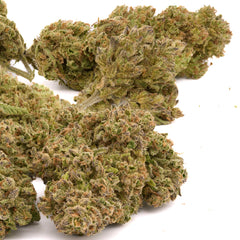 Sasquatch THCa Kief - Plants