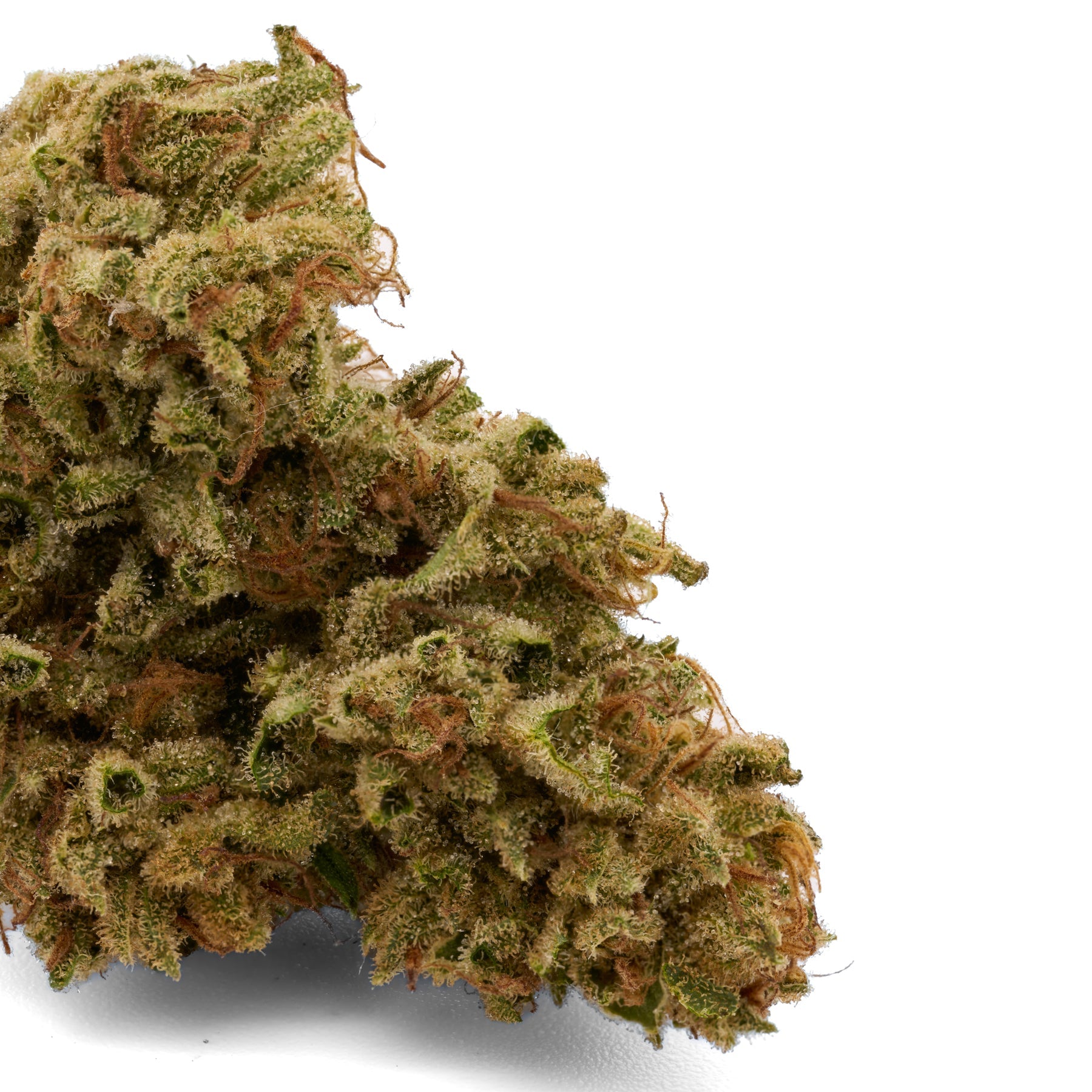 Skywalker THCa Kief - Plants