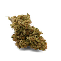 Skywalker THCa Kief - Plants