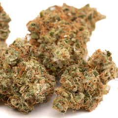 Sour Brûlée CBD Hemp Flower Full-Term - Plants