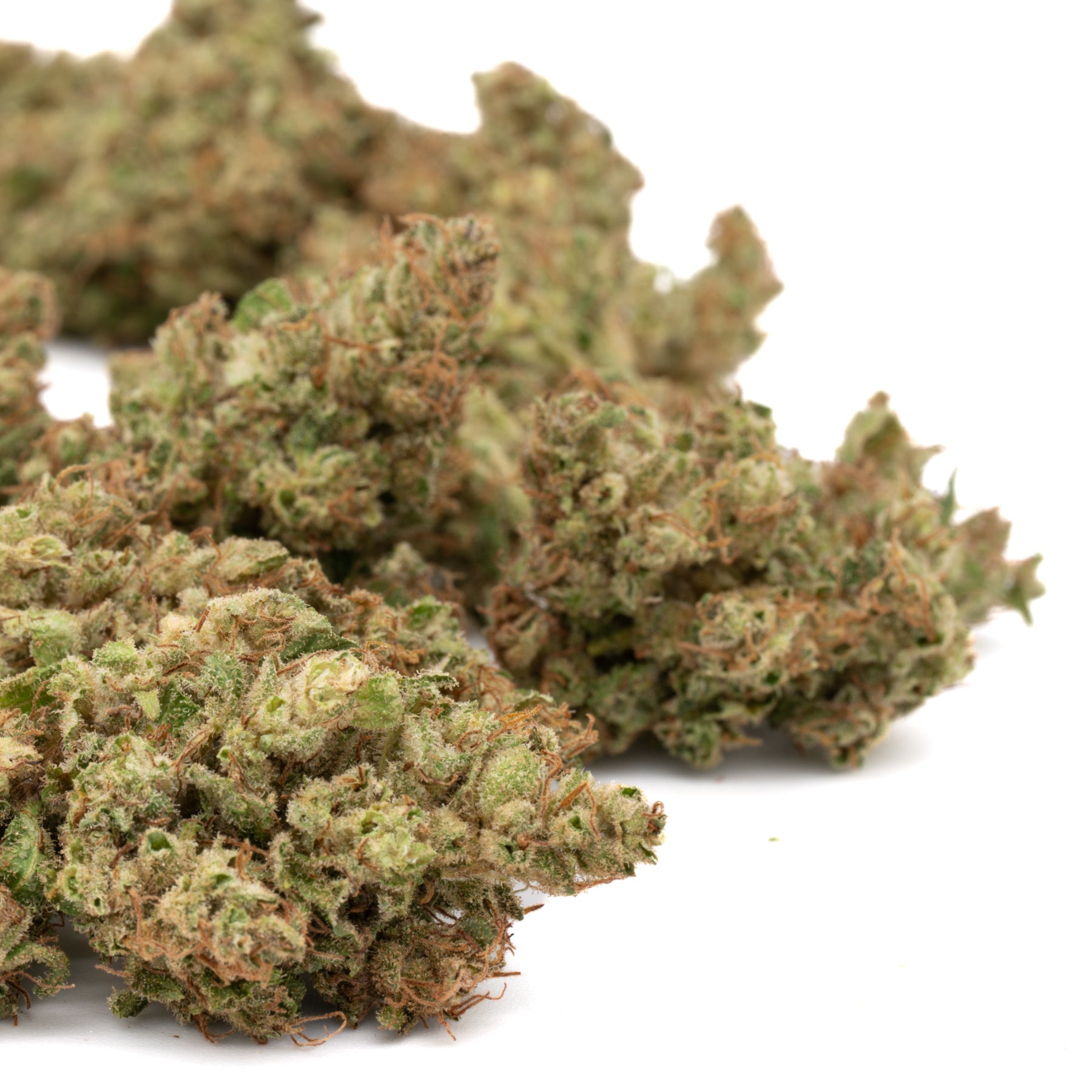 Sour Chem CBD Hemp Flower Full-Term - Plants