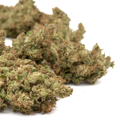 Sour Chem CBD Hemp Flower Full-Term - Plants