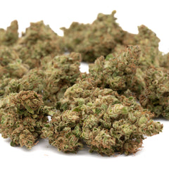 Sour Chem CBD Hemp Flower Full-Term - Plants