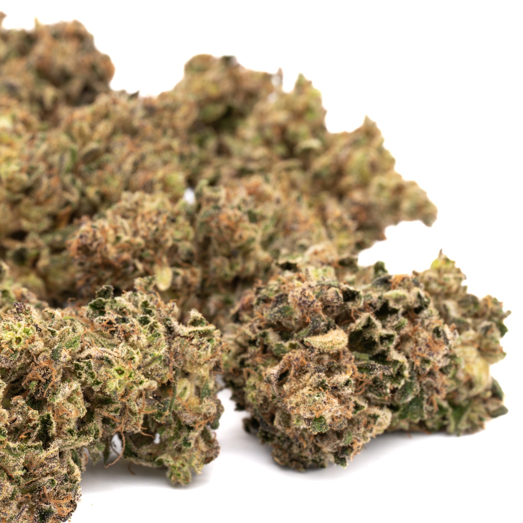 Sour Space Candy CBD Hemp Flower Full-Term - Plants