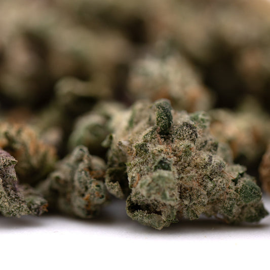 Sour Candy Indoor THCa Flower Smalls - Plants