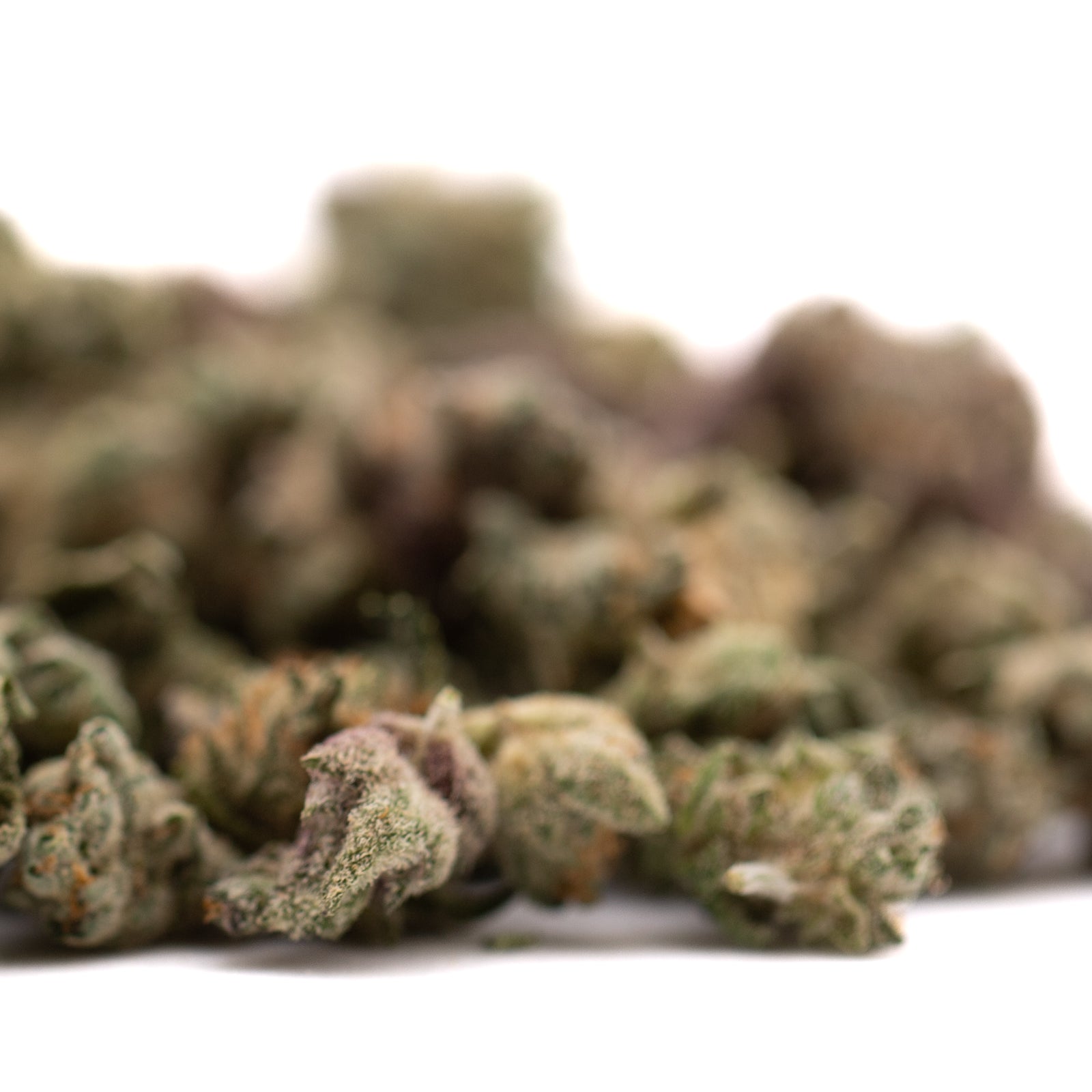 Sour Candy Indoor THCa Flower Smalls - Plants