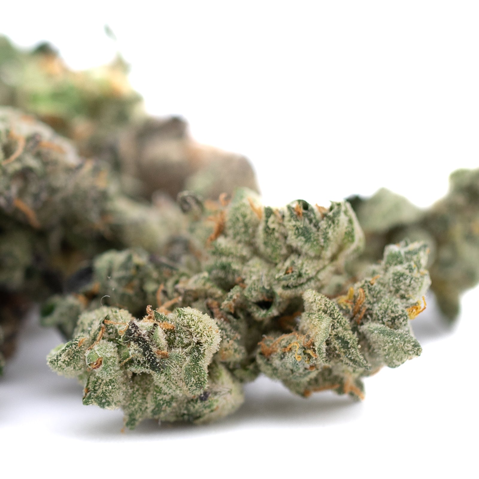 Sour Garlic Cookies Indoor THCa Flower Smalls - Plants