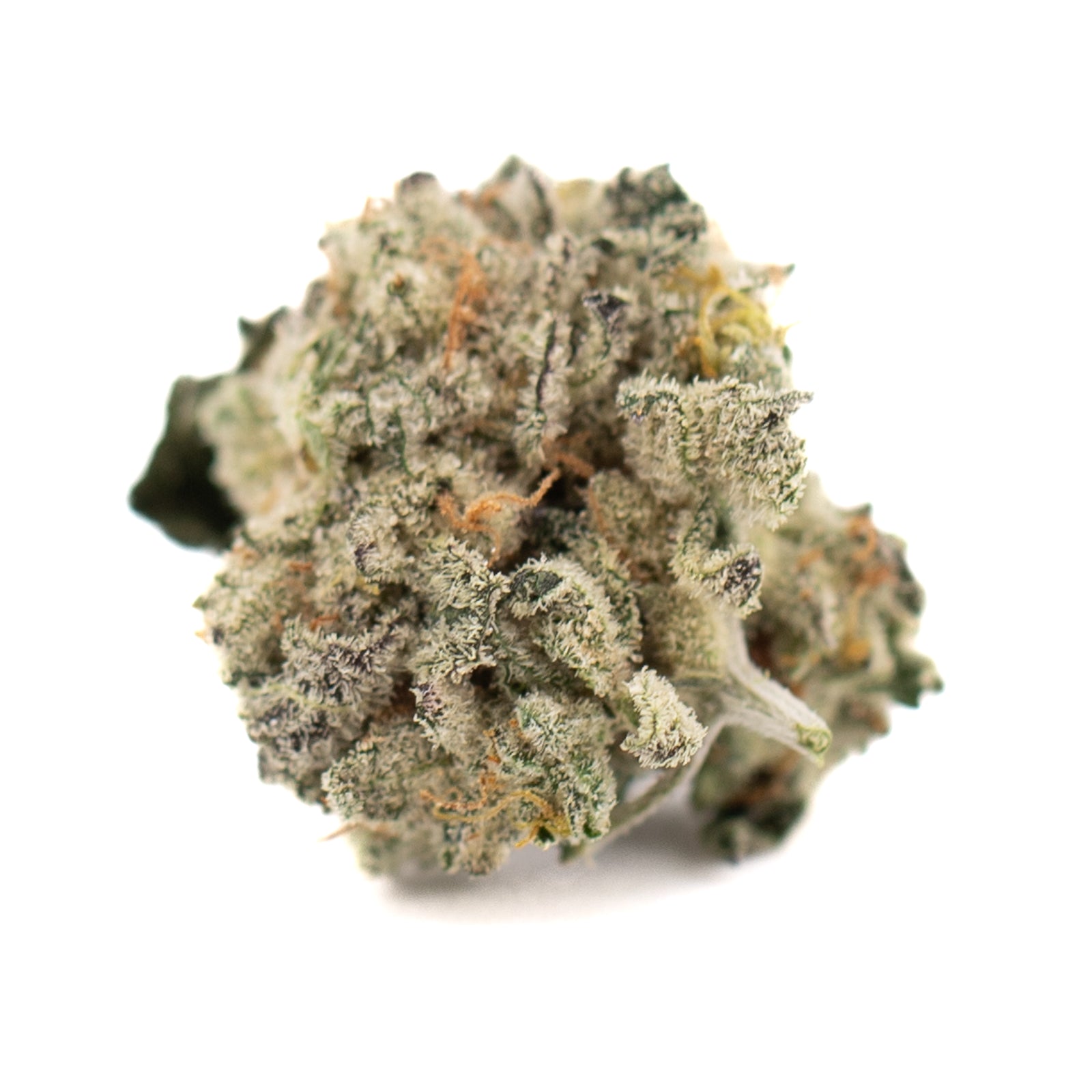 Sour Garlic Cookies Indoor THCa Flower Smalls - Plants