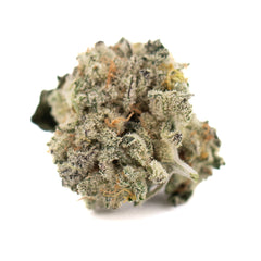 Sour Garlic Cookies Indoor THCa Flower Smalls - Plants