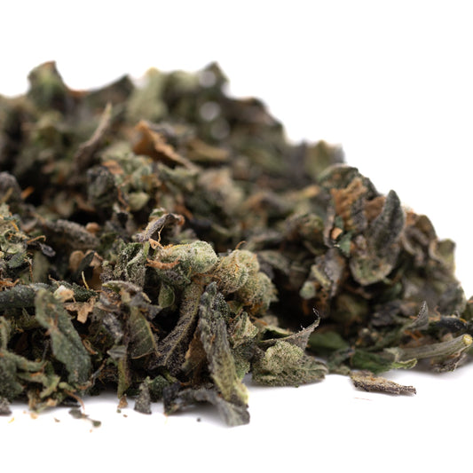 Sour Garlic Indoor Trim Wholesale 1LB - 1 LB - Plants