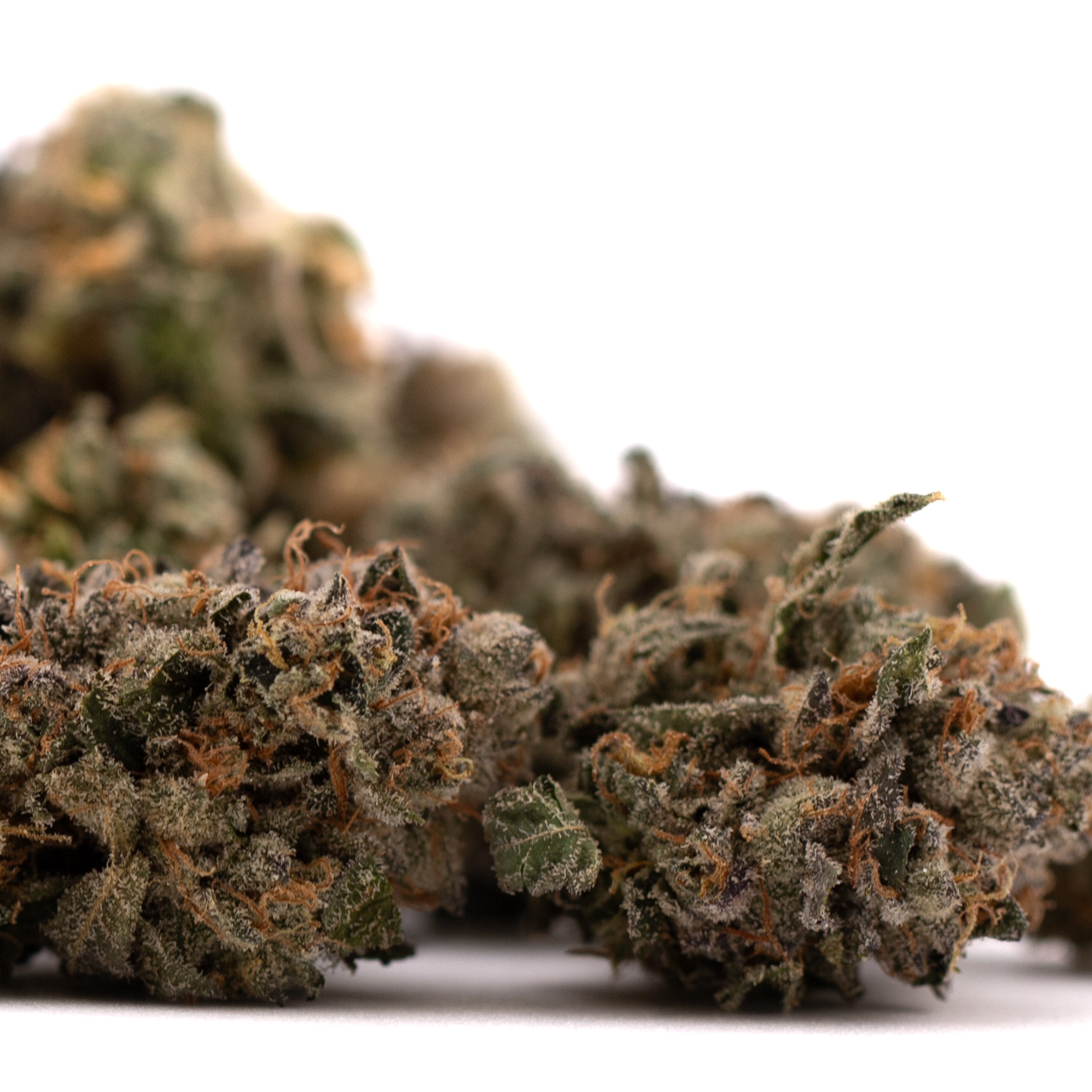 Sour Runtz Indoor THCa Flower - Plants