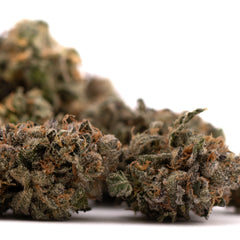 Sour Runtz Indoor THCa Flower - Plants