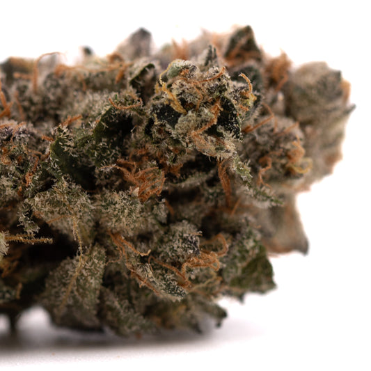 Sour Runtz Indoor THCa Flower - Plants