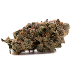 Sour Runtz Indoor THCa Flower - Plants