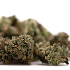 Sour Runtz Indoor THCa Flower Smalls - Plants