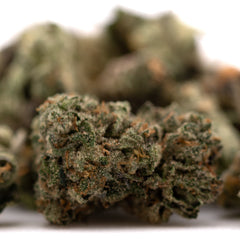 Sour Runtz Indoor THCa Flower Smalls - Plants